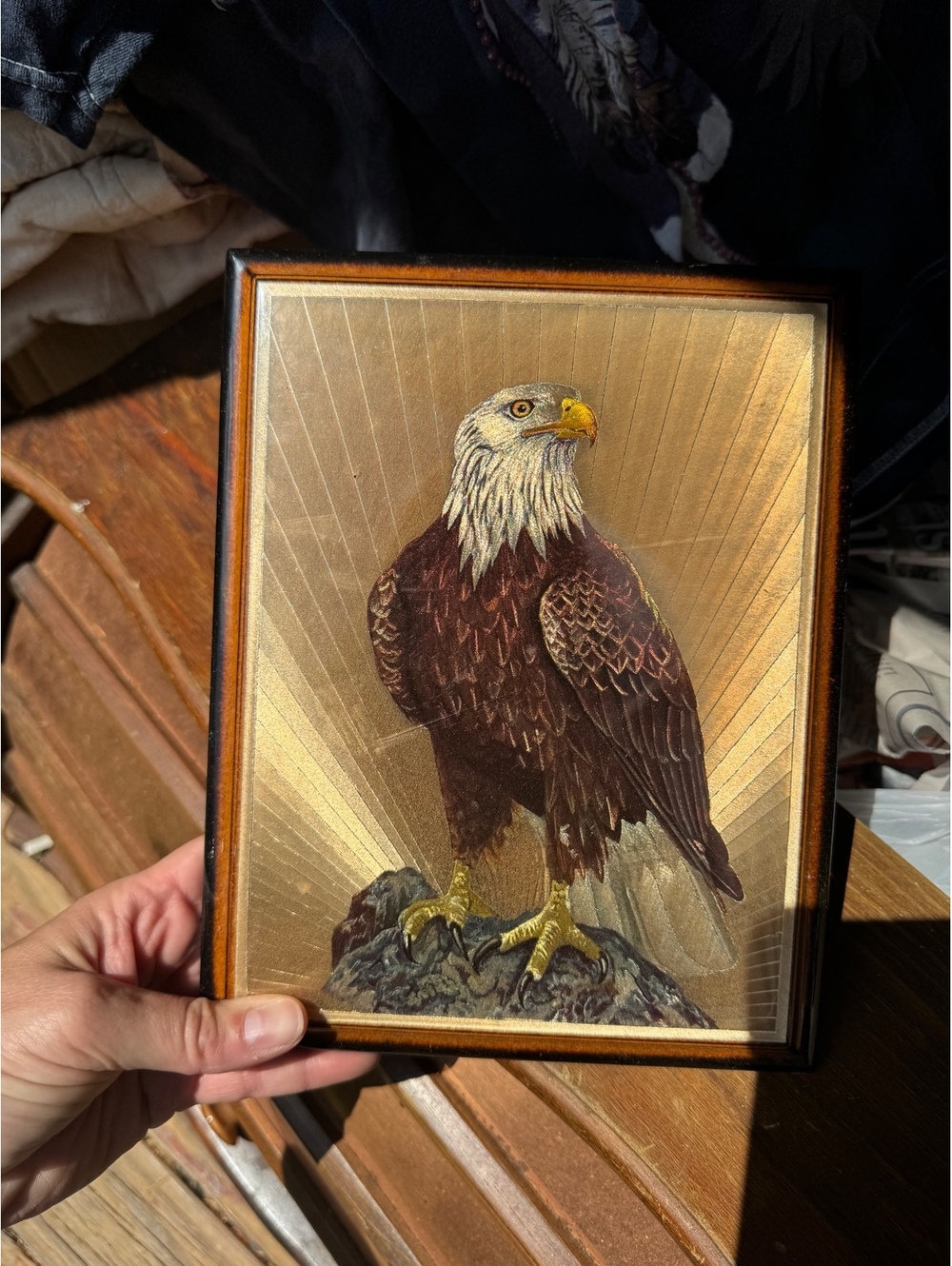 FJ Warren Ltd Dufex Gold Foil Prints Hitchin Herts England BALD EAGLE Wood Frame